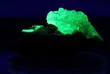 Extremely Fluorescent Botryoidal Hyalite Opal - Nambia #283801-1